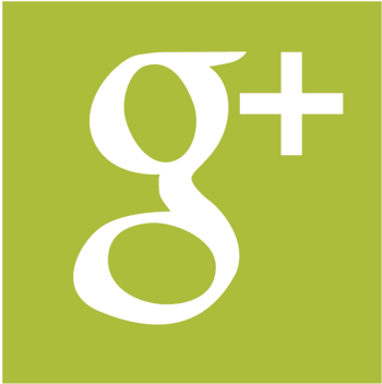17 Am 11306 Tsp Logo Registered 5/3/2017 - Google Plus Button Png (500x500), Png Download