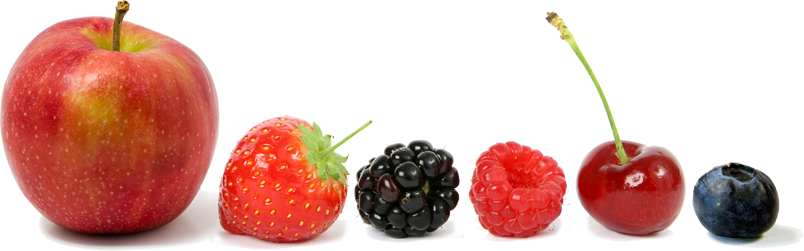 The Importance Of Fruits & Vegetables And Buying Local - Lipstick Chart Dark Red (804x251), Png Download