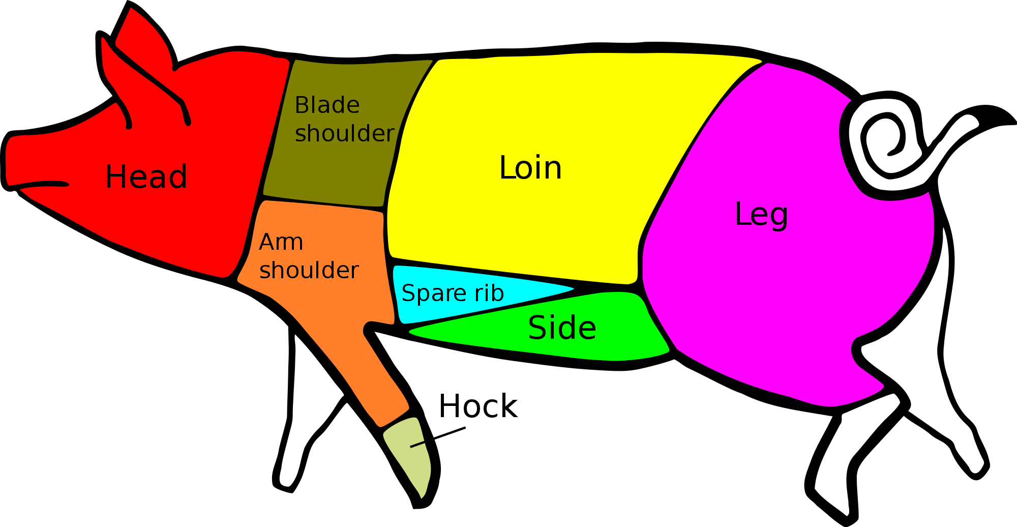 Triangle Mortgage Lenders Association & Drar Bringing - Primal Cuts Of Pork (2000x1036), Png Download