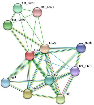 Ferris Wheel (975x481), Png Download