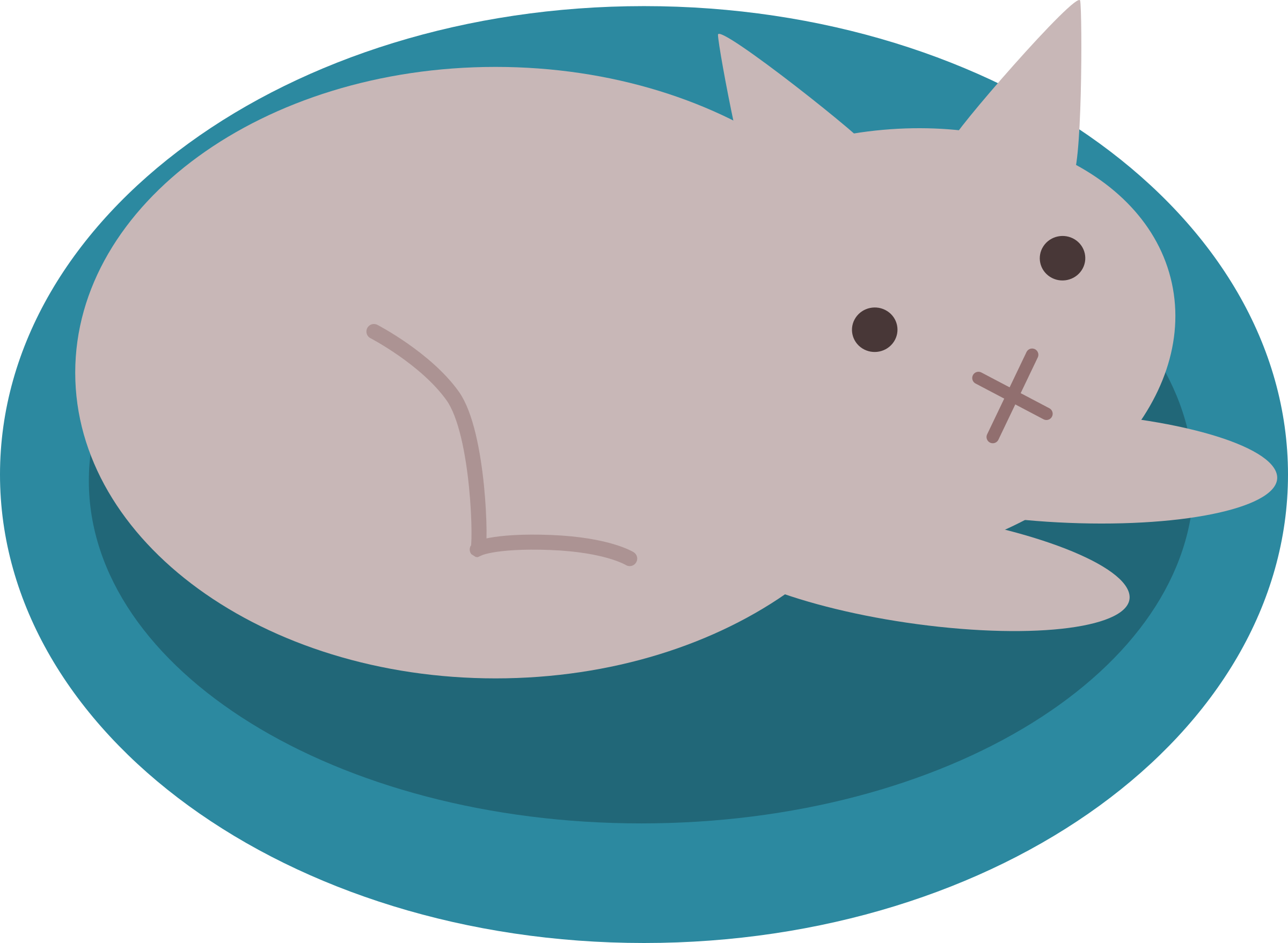Big Image - Cat (2400x1758), Png Download