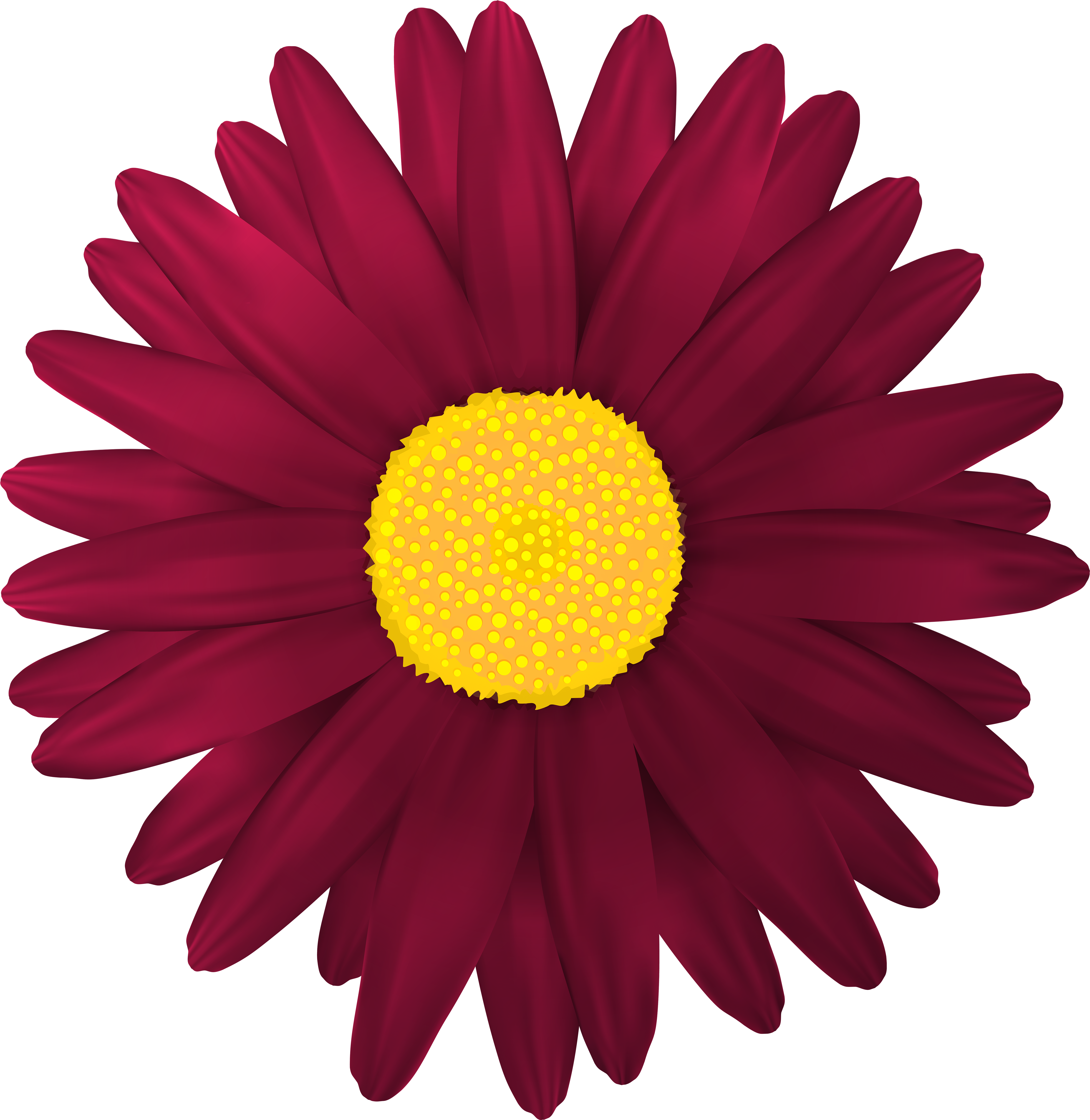 Red Flower Transparent Png Clip Art Image - Transparent Flower (4869x5000), Png Download