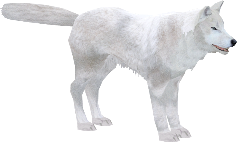 Arctic Wolf - Zoo Tycoon 2 (820x820), Png Download