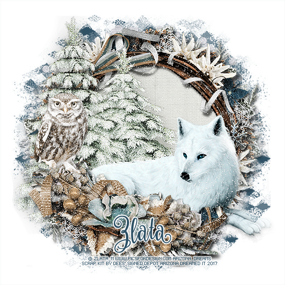 White Wolf - Red Fox (600x600), Png Download