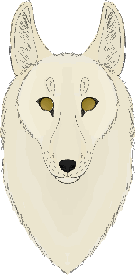 White Wolf - Czechoslovakian Wolfdog (1200x1400), Png Download