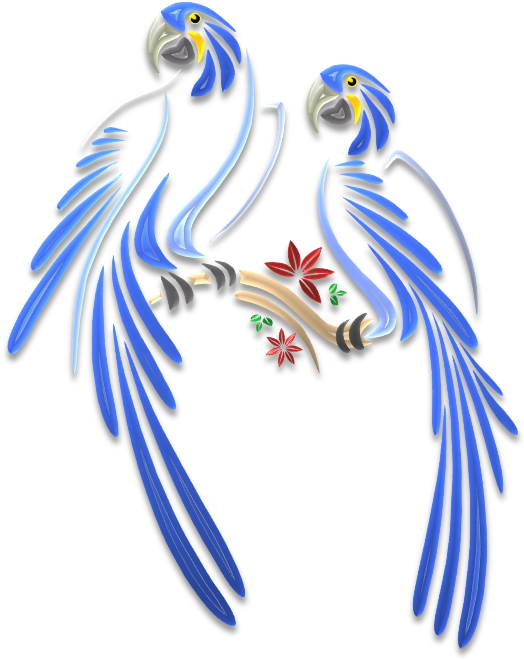 Parrots Illustrations Art & Islamic Graphics - Parrot Line Vector Tattoo (532x667), Png Download