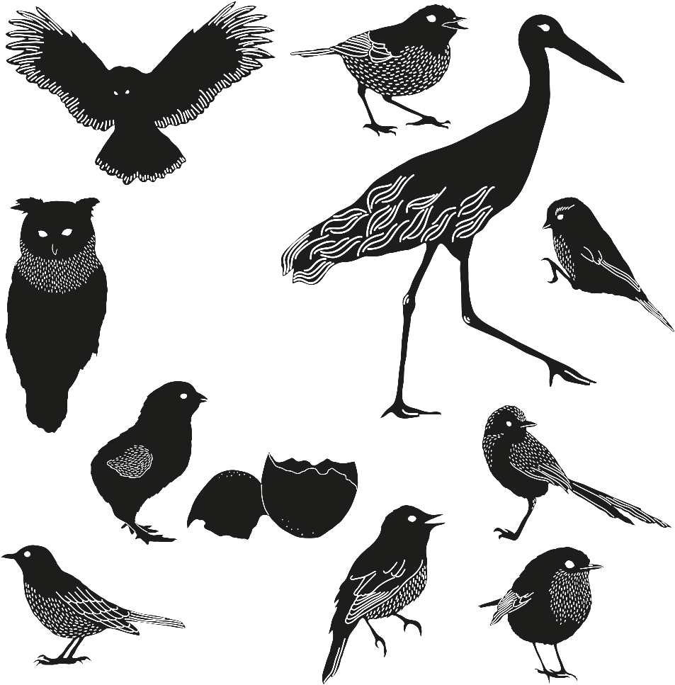 Transparent Black Silhouettes Of Birds Of All Sizes - Clr:mb - Flying Night Owl - Trackpad | Tablet Vinyl (1024x1024), Png Download