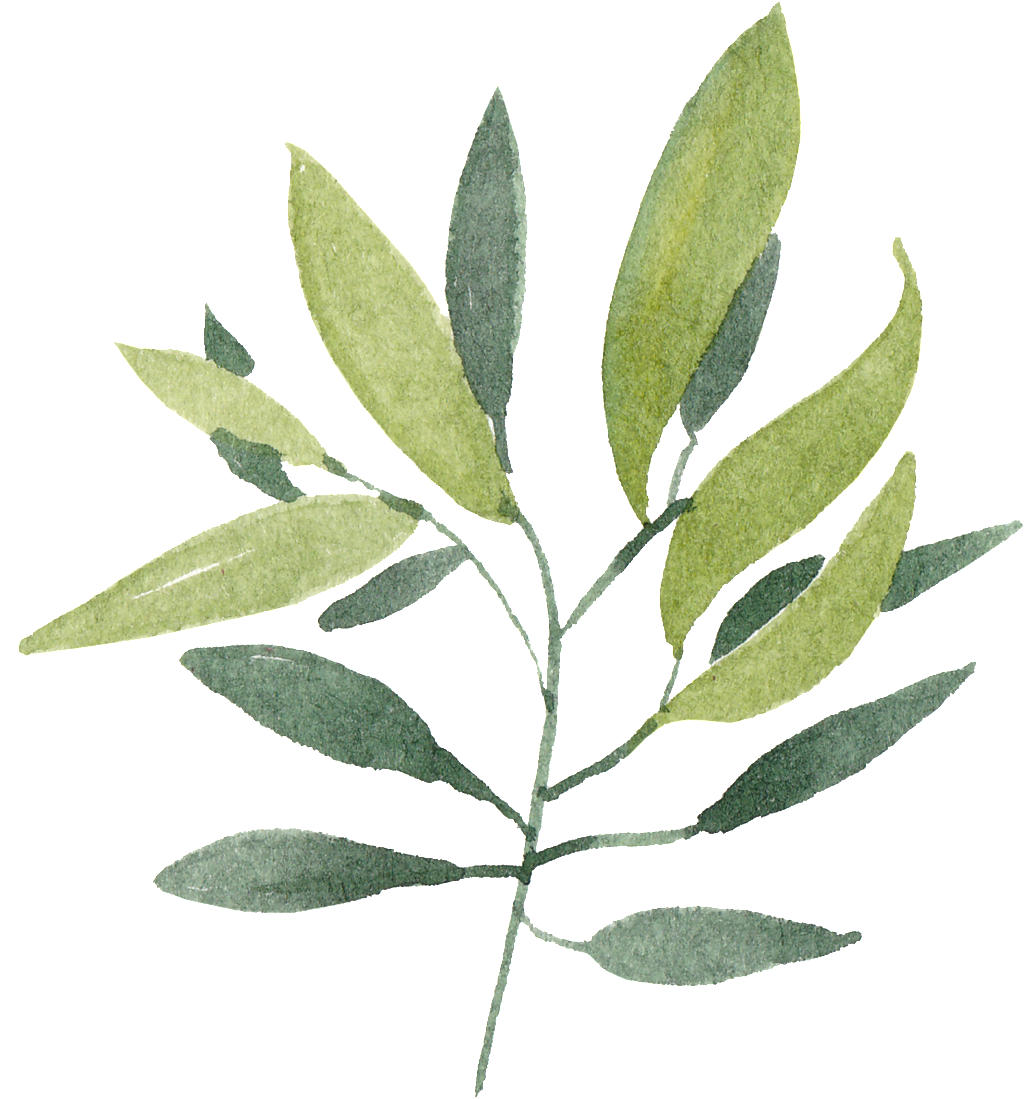 Este Gráficos Es Png Transparente De Ramas Y Hojas - Green (1024x1099), Png Download