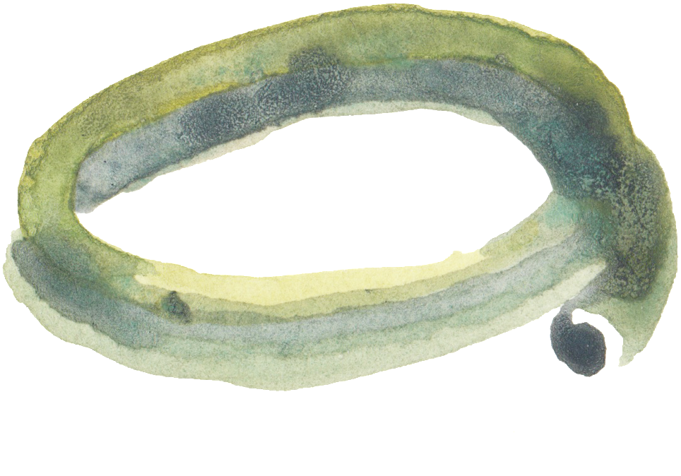 Transparente Png Ornamental Para Verde Y Verde Ramas - Circle (1024x722), Png Download