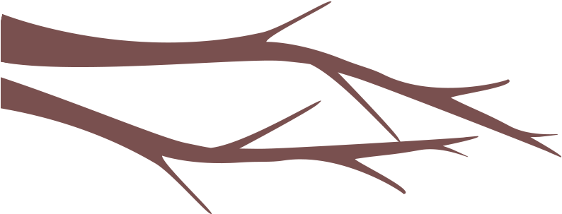 Tags Cloud (800x326), Png Download