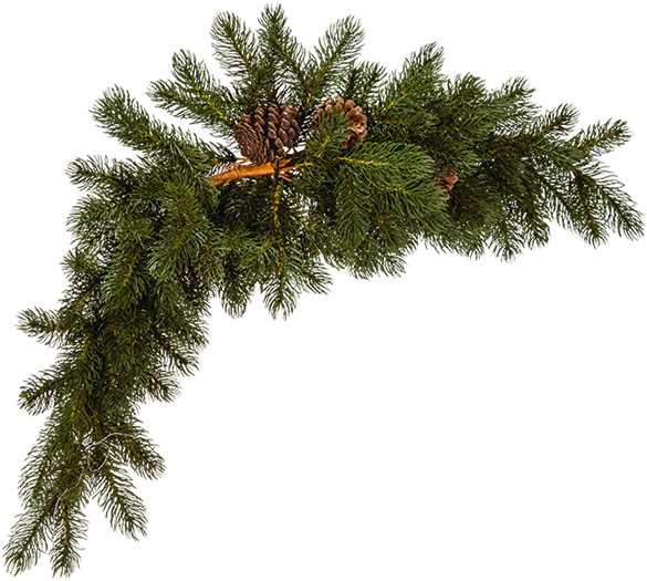 Caja De Ramas De Pino - Mexican Pinyon (700x700), Png Download