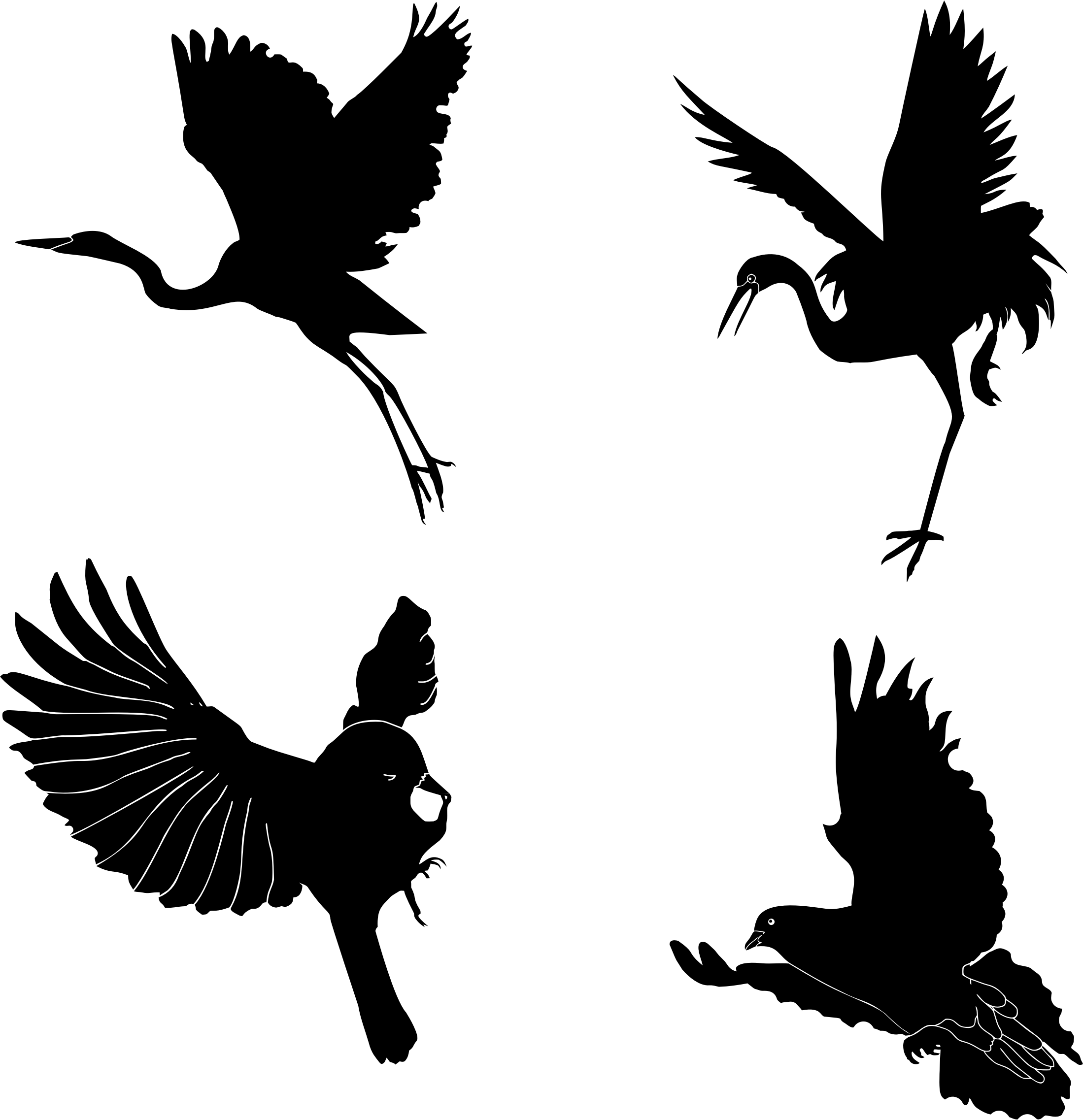 Big Image - Crane (2198x2274), Png Download