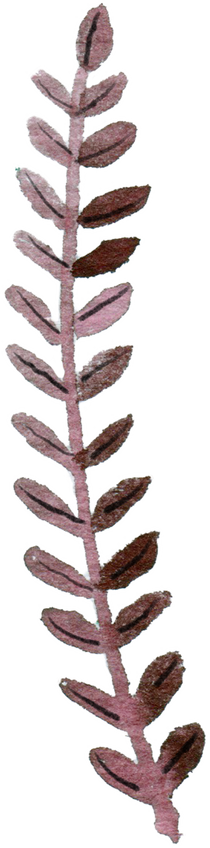 9 Frame - Houseplant (417x1684), Png Download