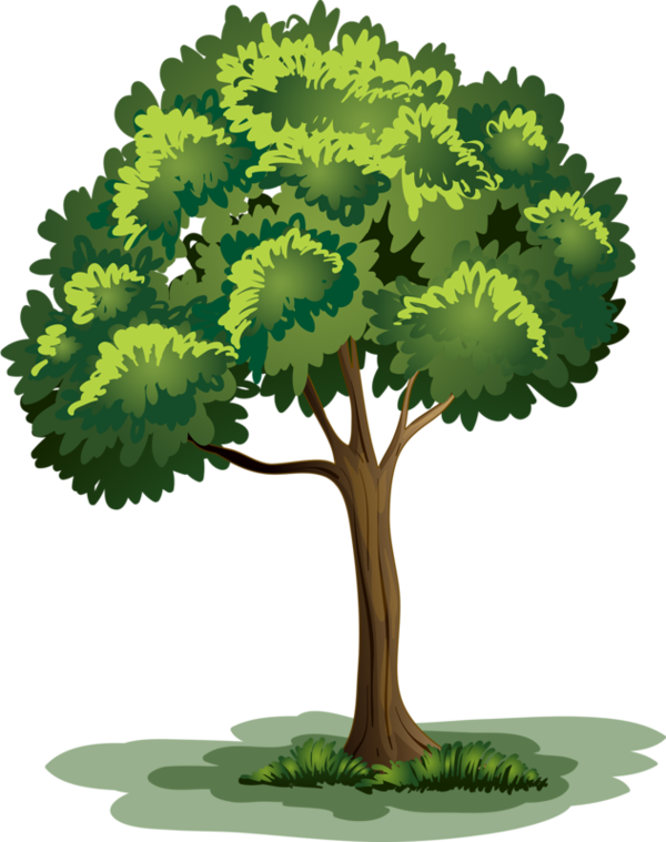 Arbre,png - Trees And Flowers Clipart (600x759), Png Download
