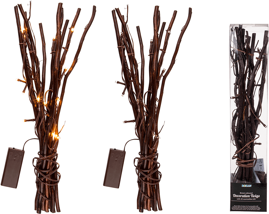 Branch (945x709), Png Download