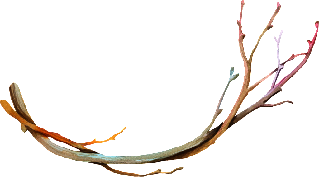 Png Transparente De Ramas Secas - Branches With Transparent Background (1024x569), Png Download