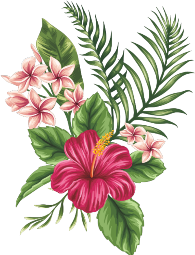 Tropical Drawing (1024x1024), Png Download