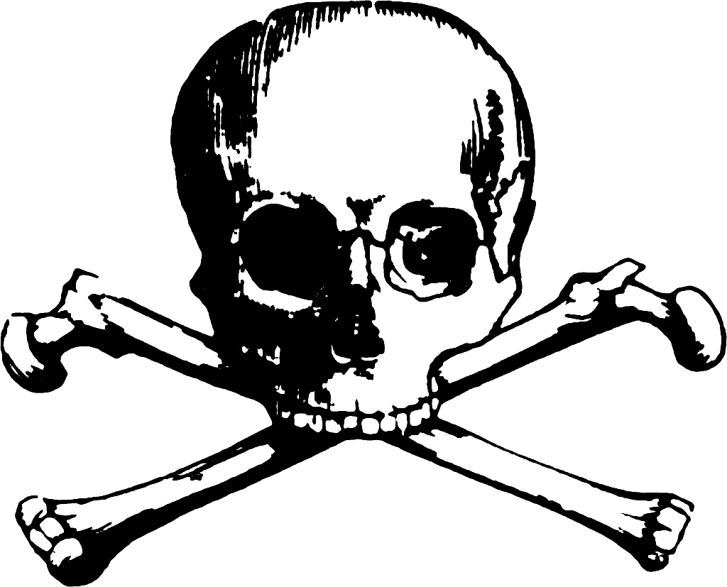 Vector Skull And Bones Human Symbolism Clip Art - Skull And Bones Png (1024x827), Png Download