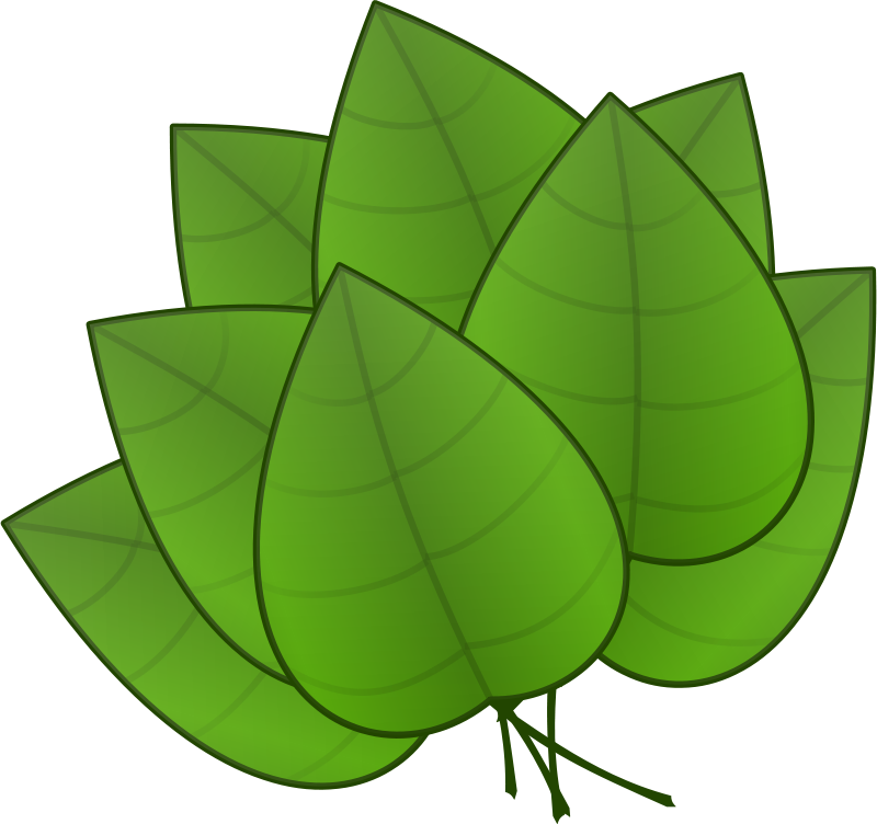 Leaves Clip Art At Clker - Parts Of Plants Leaves (600x565), Png Download
