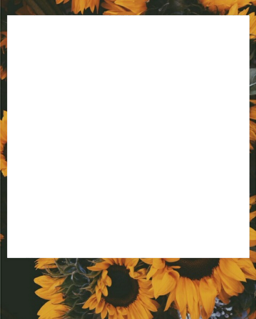 Report Abuse - Polaroid Png (823x1024), Png Download