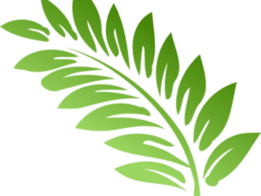 Fern Clipart Foliage - Fern Leaf Keychain, Adult Unisex, Lavender Blush (640x480), Png Download
