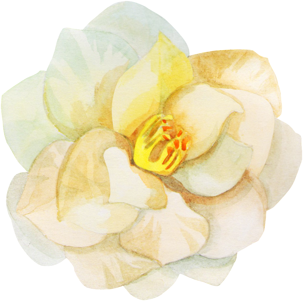 Hand Painted Beautiful Rendering Flower Png Transparent - Rendering (1024x1024), Png Download