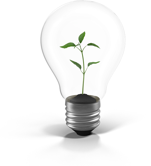 Passionate About What We Do, We Are The Government-recognised - Incandescent Light Bulb (651x662), Png Download