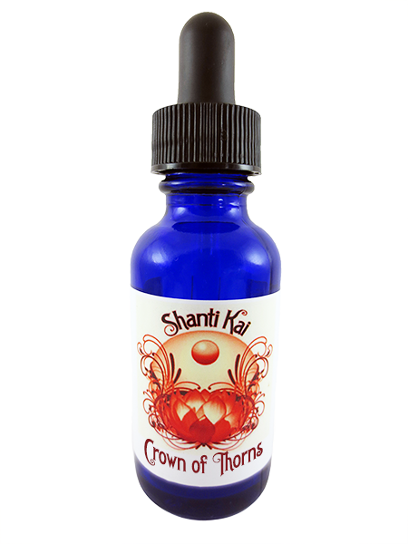 Crown Of Thorns - African Tuliptree (450x600), Png Download