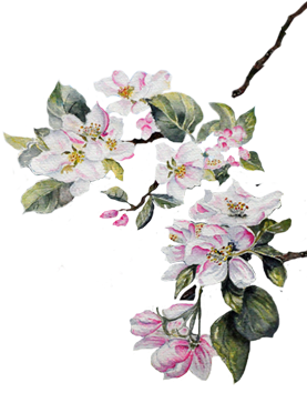 Paper Watercolor Painting Drawing Flower Png - Flower Texture Tumblr Png (307x413), Png Download