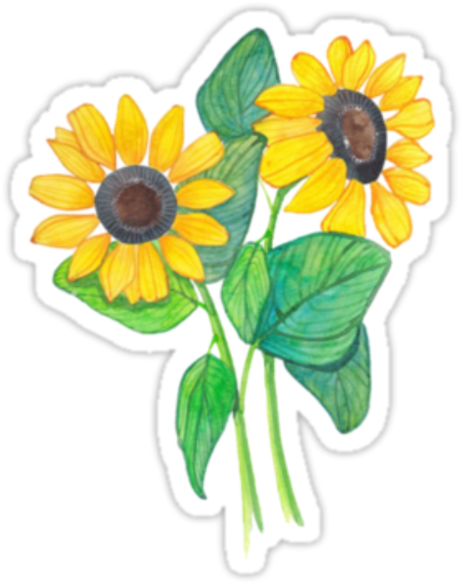 Tumblr Flowers Sticker Png Picsart 🌼💛✨ - Sticker Tumblr Png (1024x1024), Png Download