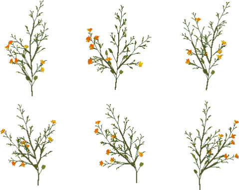 Orange Yellow Flowers 6pk - Orange Flowers Tumblr Png Transparent (540x400), Png Download