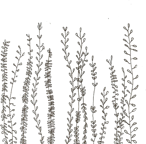 Notebook Aesthetic (500x616), Png Download