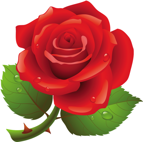 Flower Crown Transparent Png Pictures - Red Roses Shower Curtain (479x487), Png Download