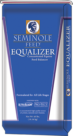 Seminole Equalizer (300x600), Png Download