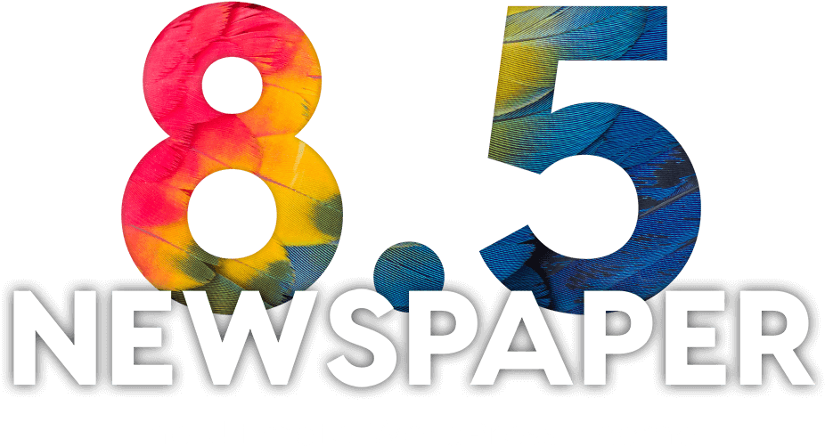 The - Graphic Design (955x537), Png Download