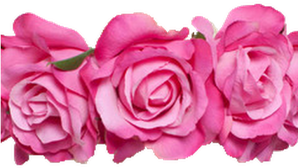 Photo - Dylan O Brien Stickers Png (424x318), Png Download