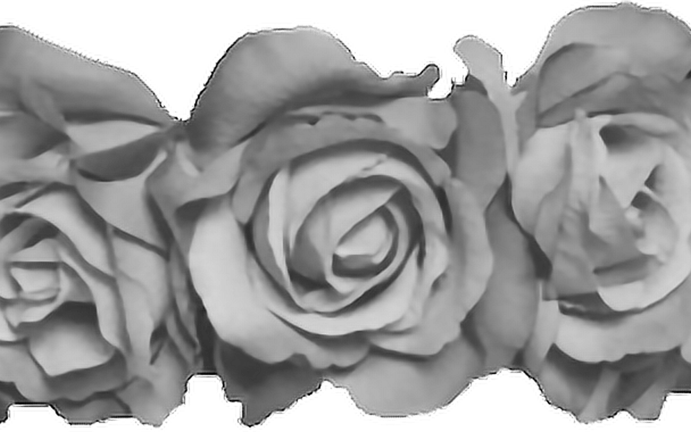 Flowercrown Flower Crown Grey Sticker By Jmp - Dylan O Brien Stickers Png (1368x855), Png Download
