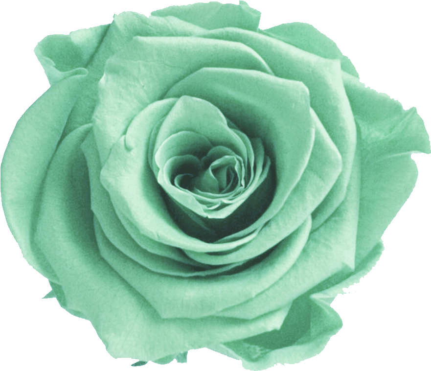 Mint Transparent Flower Crown - Mint Green Flower Png (1000x1250), Png Download
