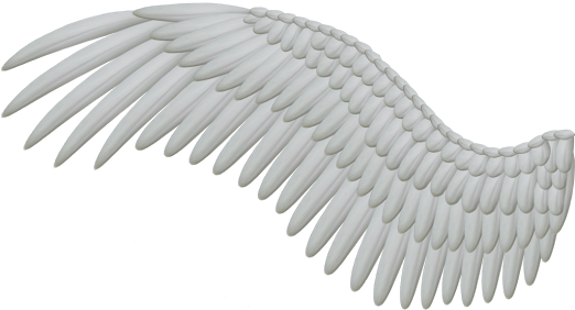 Bird Wings Png - White Angel Wings Png (522x282), Png Download