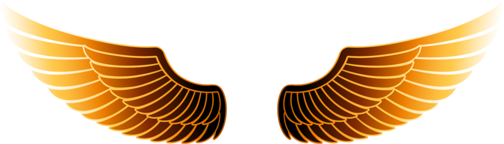 Golden Wings Transparent Image - Gold Eagle Wings Png (1000x286), Png Download