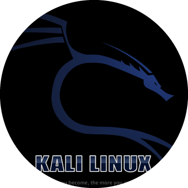 Kali - Kali Linux (373x373), Png Download