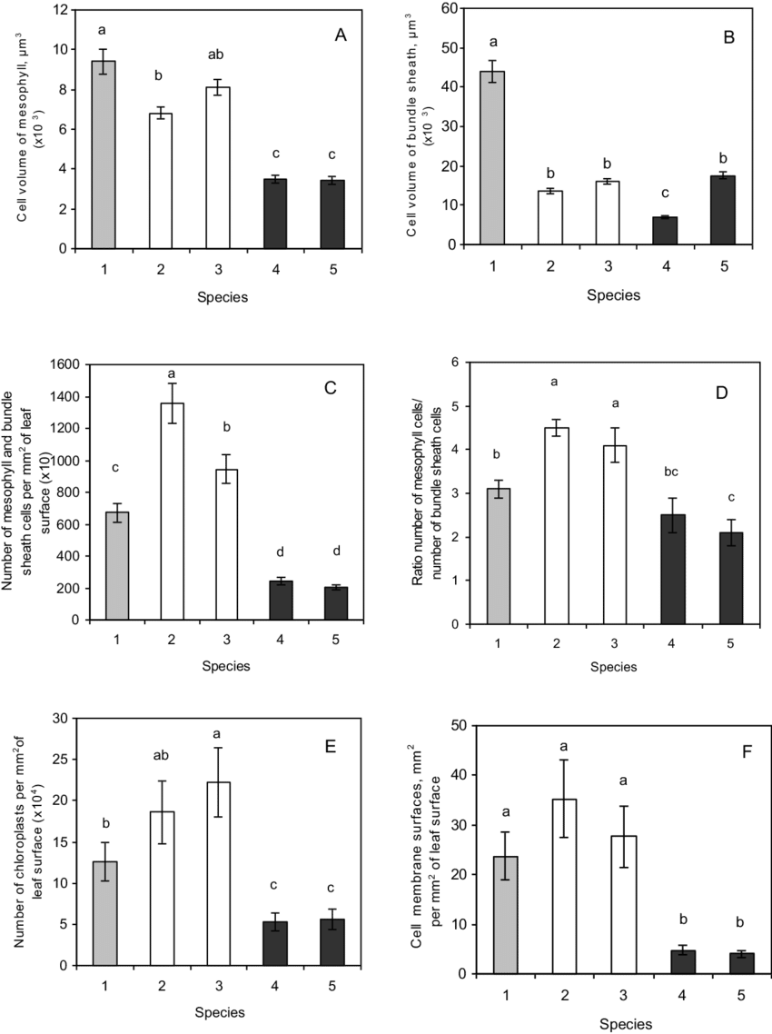 The Quantitative Characteristics Of Photosynthetic - Smad (850x1138), Png Download