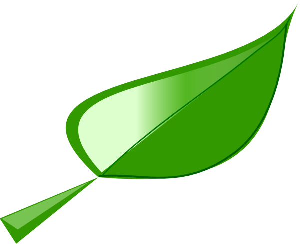 Single Green Leaf Clip Art (600x488), Png Download