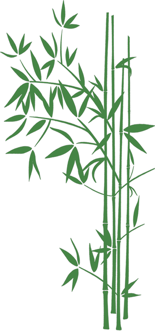 Bamboo Leaves - Bambu Fondos Png (501x1067), Png Download