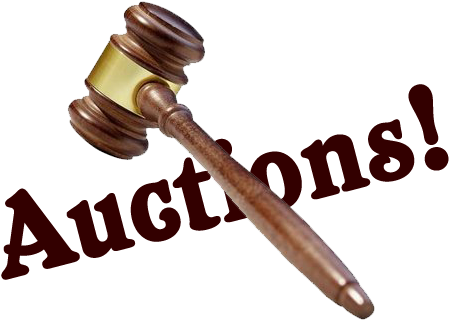 Coca-cola Collectibles Plus So Much More, Inc - Buildasign 2nd Amendments Defending The 1st Bumper (522x414), Png Download