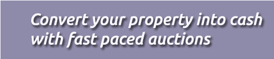 Auction (1000x350), Png Download