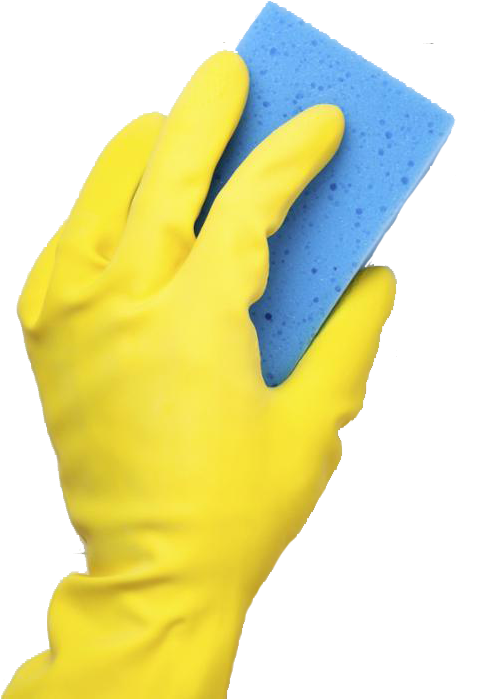Washing Sponge In Hand Png - Hand With Sponge Png (546x750), Png Download