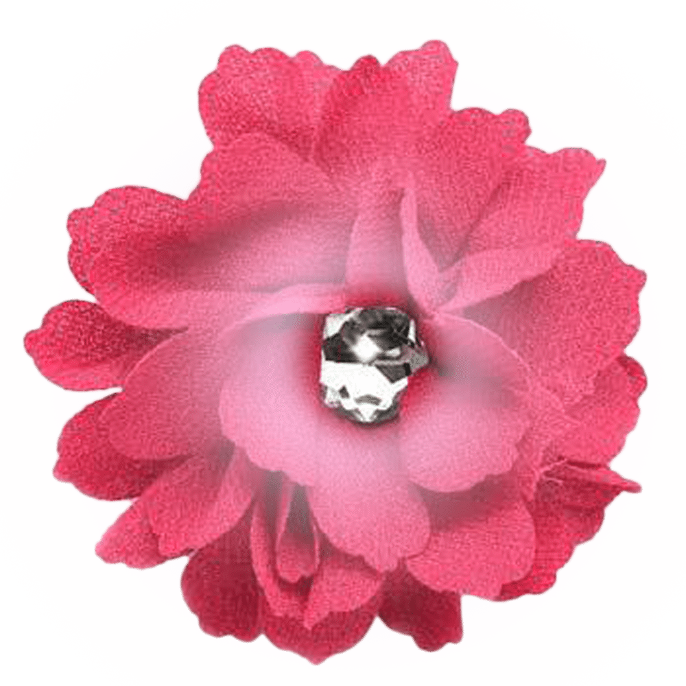 Hot Pink Flower - Black Flower Png (1000x1000), Png Download