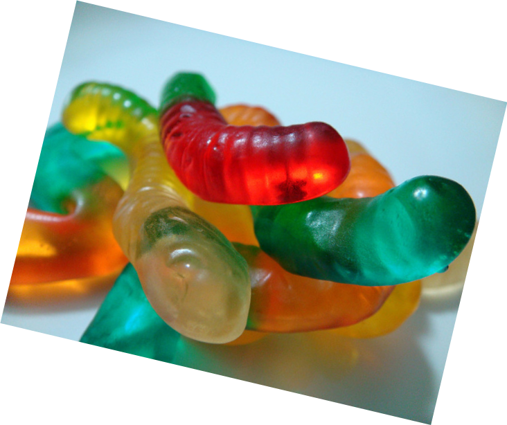 Gummy Worms Guessing Contest Winners - Gummy Bear (732x614), Png Download