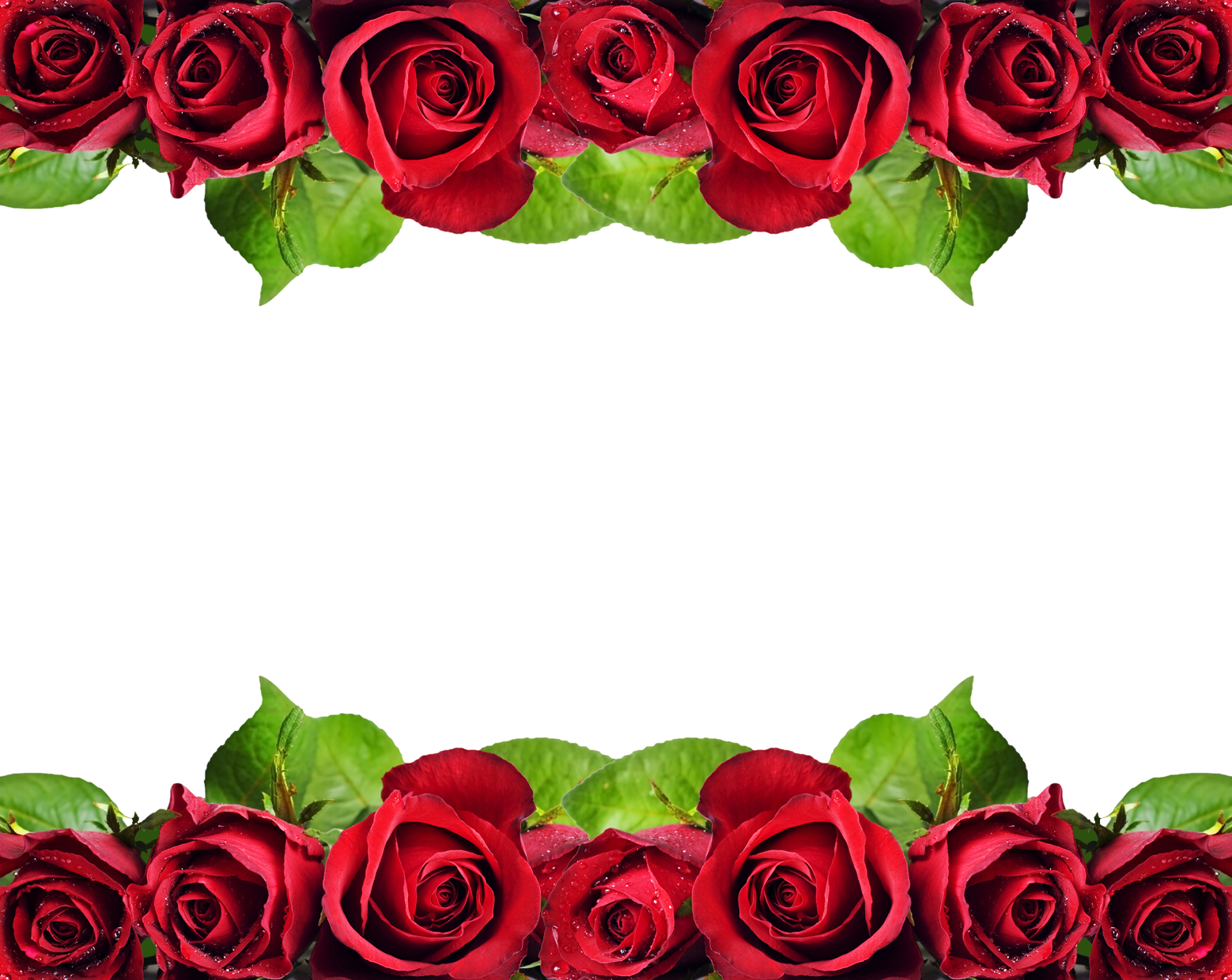 Download Red Roses Border Png Red Roses Border Design Hd PNG Image 